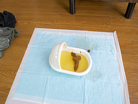 極太便のイイ女　サンプル画像06